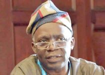 Falana Urges INEC to Halt By-Elections