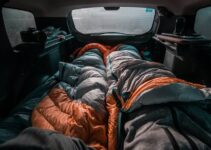 Nigerians in the UK Sleeping in Cars Due to Government Mismanagement, Claims NiDCOM