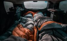 Nigerians in the UK Sleeping in Cars Due to Government Mismanagement, Claims NiDCOM