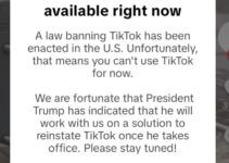 TikTok Becomes Unavailable in the US as It Disappears from Apple and Google Stores Before Federal Ban