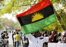 Insecurity: IPOB Pledges Support for Local Security Forces in the South-East