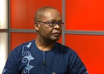 Joe Igbokwe Urges APC: ‘We Cannot Afford to Lose Strong Leaders Like El-Rufai’