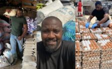 Actor John Dumelo Ventures into Agriculture, Says Film Industry Not Enough to Sustain Him