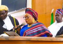 Lagos Assembly Elects Mojisola Meranda as First Female Speaker Following Obasa’s Impeachment