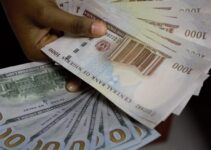 Naira Gains Ground Against Dollar in Black Market, Official CBN Rates Still Pending