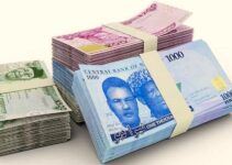 Naira Responds Favorably to FX Code Introduction, Gains Value in Official and Parallel Markets