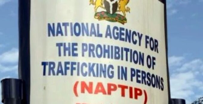 NAPTIP Rescues Nine Expecting Mothers from Abuja Baby Factory