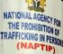 NAPTIP Rescues Nine Expecting Mothers from Abuja Baby Factory