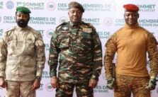 Niger, Mali, Burkina Faso Plan to Abandon CFA Franc, Introduce New Currency