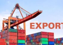 Non-Oil Exports Hit $5.4 Billion in 2024 – NEPC Reports