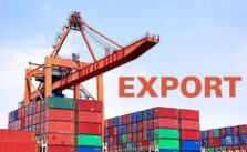 Non-Oil Exports Hit $5.4 Billion in 2024 - NEPC Reports