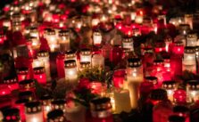 Far-right Alternative for Germany to hold event in knife-attack city