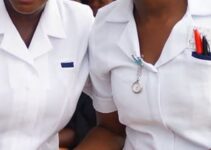 Ondo Nurses Launch Indefinite Strike in Protest of Welfare Conditions