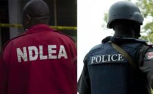Police and NDLEA Engage in Conflict Over Arrest of Alleged Drug Peddler in Bayelsa