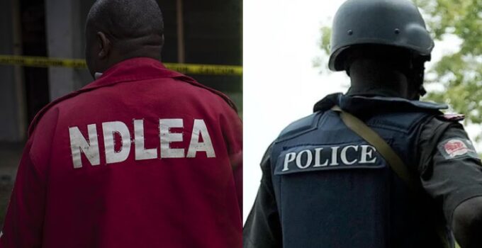 Police and NDLEA Engage in Conflict Over Arrest of Alleged Drug Peddler in Bayelsa