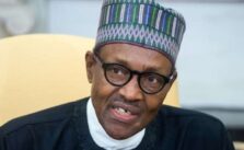 Presidency Refutes Claims of Pressuring Buhari to Testify in $6 Billion Mambilla Power Contract Dispute