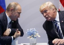 Kremlin Anticipates U.S. Signals as Putin Shows Willingness for Talks with Trump