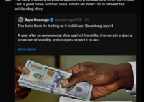 Bayo Onanuga Responds to Report of Naira’s Strength Against Dollar: Peter Obi Should Share the Good News