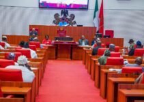 Senate Committee Dismisses 2025 Budget Proposal from Investment Tribunal