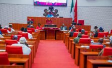 Senate Committee Dismisses 2025 Budget Proposal from Investment Tribunal