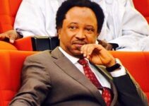 Unemployed Kaduna Leader Now Advocating Democracy: Shehu Sani Targets El-Rufai