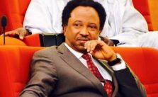 Unemployed Kaduna Leader Now Advocating Democracy: Shehu Sani Targets El-Rufai
