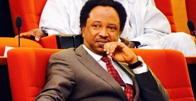 Unemployed Kaduna Leader Now Advocating Democracy: Shehu Sani Targets El-Rufai