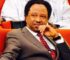 Unemployed Kaduna Leader Now Advocating Democracy: Shehu Sani Targets El-Rufai