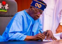 Tinubu Appoints Ganduje, Akinyemi, Abe, and Others to 42 Federal Agencies