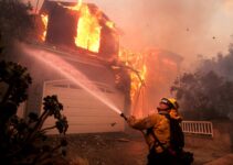 Wildfires Claim 10 Lives and Devastate Over 10,000 Structures