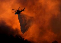 Hang-Gliding Pioneer Fought to Save Topanga Home—Then Vanished Without a Trace