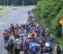 Video: Migrant Caravan Attempts to Cross Southern Border Ahead of Trump’s Inauguration