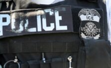 ICE Boston Apprehends Illegal MS-13 Gang Member for Gun and Drug Offenses