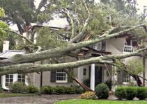 Severe Windstorm Warning Issued for California: ‘Life-Threatening’ and ‘Destructive’ Conditions Expected