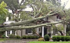 Severe Windstorm Warning Issued for California: 'Life-Threatening' and 'Destructive' Conditions Expected