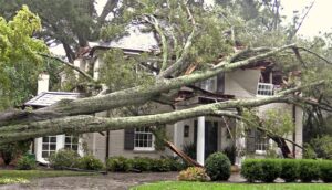 Severe Windstorm Warning Issued for California: 'Life-Threatening' and 'Destructive' Conditions Expected