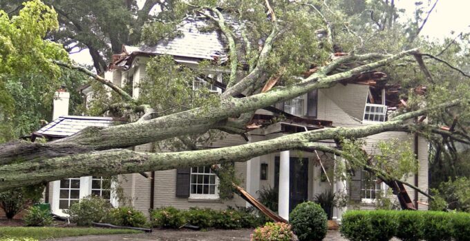 Severe Windstorm Warning Issued for California: ‘Life-Threatening’ and ‘Destructive’ Conditions Expected