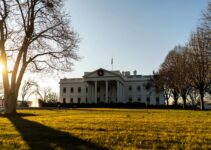 Viral Video: Secret Service Rushes In as Man Climbs Over White House Fence