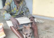 Man Arrested with Human Skull in Ogun