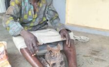 Man Arrested with Human Skull in Ogun