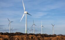 Germany Hits National CO2 Reduction Target for 2024, Misses EU Goal