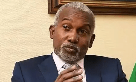 Minister Supports Tinubu's Frequent Travels, Encourages Increased International Engagements