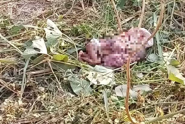 Newborn Baby Found Dead Opposite Church in Cross River