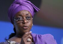 Diezani Denies Ownership of Repatriated .8M, Reveals Actual Owner