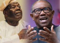 Peter Obi: Akande’s Allegation is Divisive; #EndSARS Movement Was Natural and Organic