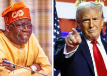 Former Foreign Affairs Minister Bolaji Akinyemi Advises President Tinubu to Steer Clear of Confrontation with Trump