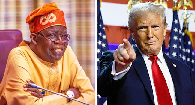Former Foreign Affairs Minister Bolaji Akinyemi Advises President Tinubu to Steer Clear of Confrontation with Trump