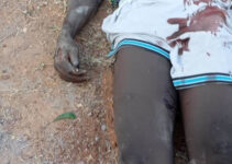 Suspected Cable Vandal Electrocuted in Adamawa