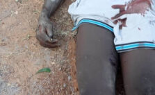 Suspected Cable Vandal Electrocuted in Adamawa