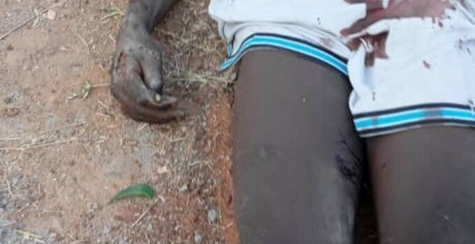 Suspected Cable Vandal Electrocuted in Adamawa